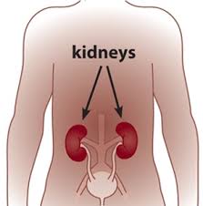 Dialysis For Diabetes with Kidney Disease