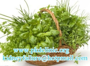 Is Micro-Chinese Medicine osmotherapy Cure PKD